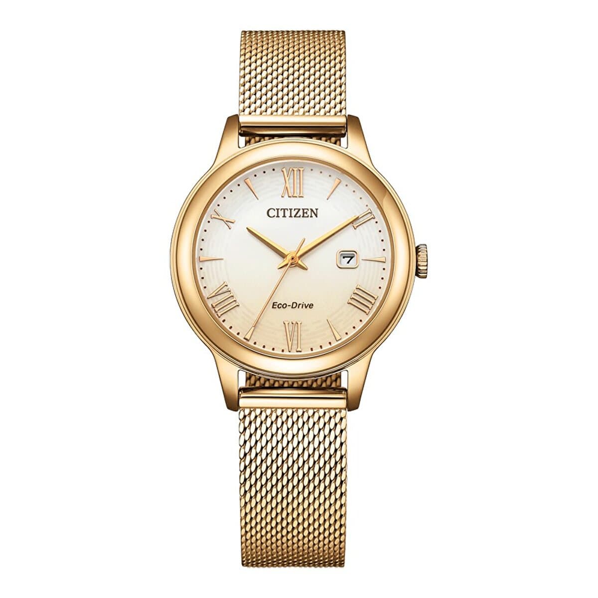 Momentus CC307S-04SS Erkek Kol Saati
